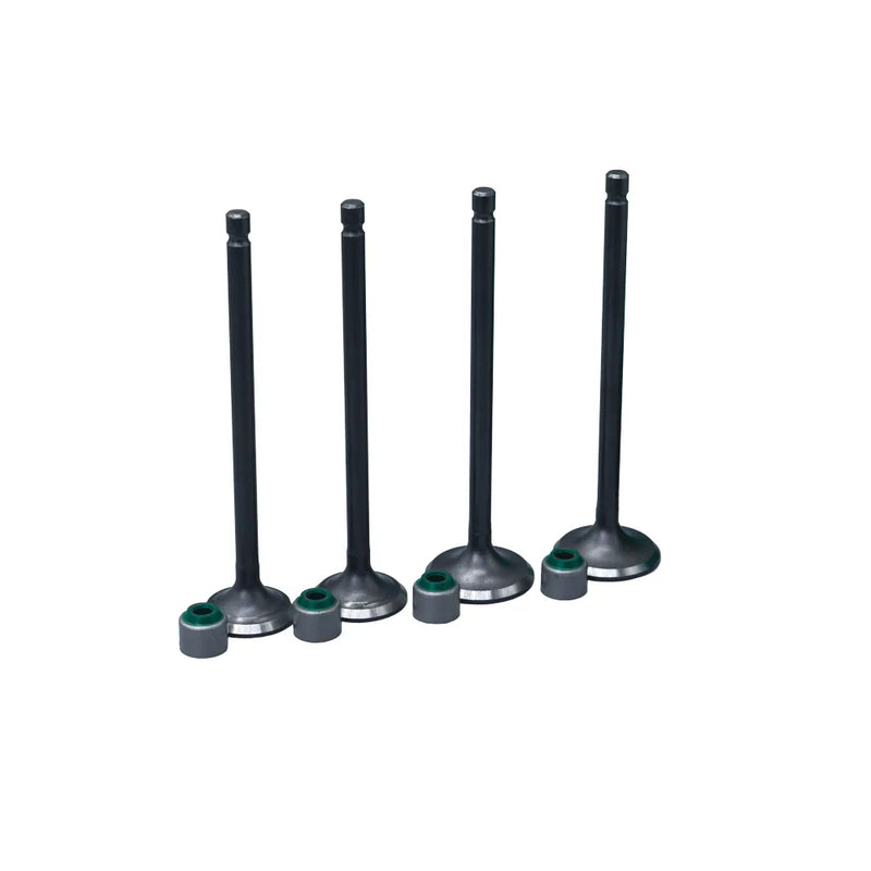KIT VALVULAS ADM Y ESC DISCOVER125 CON SELLOS - Imagen 1