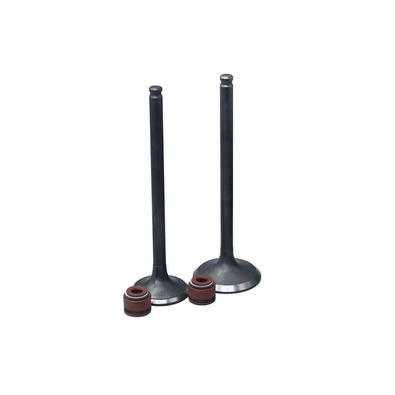 KIT VALVULAS ADM Y ESC XR150/ CB125S CON SELLOS - Imagen 1