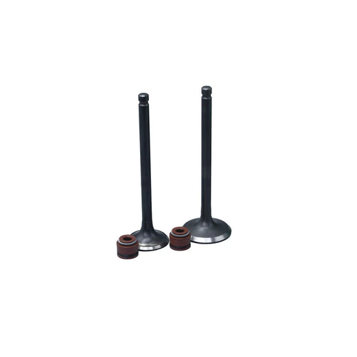 KIT VALVULAS ADM Y ESC CB110/ CB110 DREAM NEO/ CB125F CARB/ WAVE110 CON SELLOS - Imagen 1