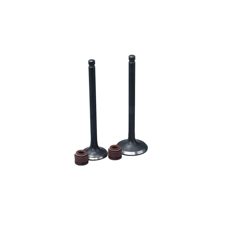KIT VALVULAS ADM Y ESC CB110/ CB110 DREAM NEO/ CB125F CARB/ WAVE110 CON SELLOS - Imagen 1