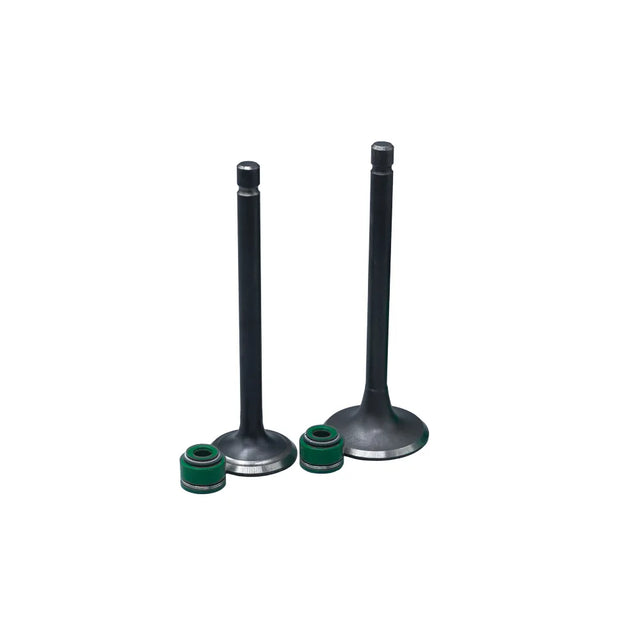 KIT VALVULAS ADM Y ESC MOTORCARRO/ RE205D CON SELLOS - Imagen 1
