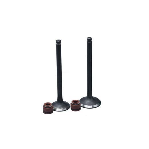 KIT VALVULAS ADM Y ESC AX-4/ VIVAR115 CON SELLOS - Imagen 1