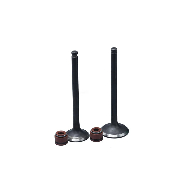 KIT VALVULAS ADM Y ESC AX-4/ VIVAR115 CON SELLOS - Imagen 1