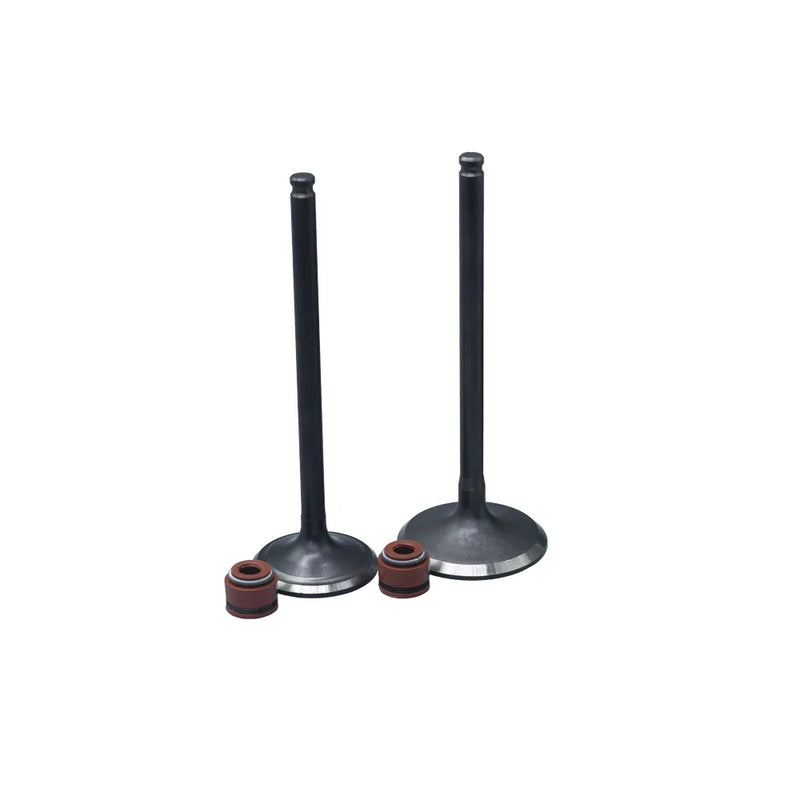 KIT VALVULAS ADM Y ESC CB190R/ XRE190 CON SELLOS - Imagen 1