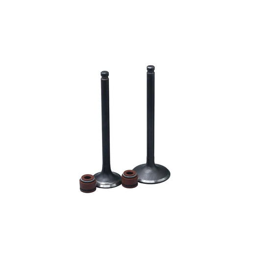 KIT VALVULAS ADM Y ESC CRYPTON115FI/ YC-Z110 CON SELLOS - Imagen 1