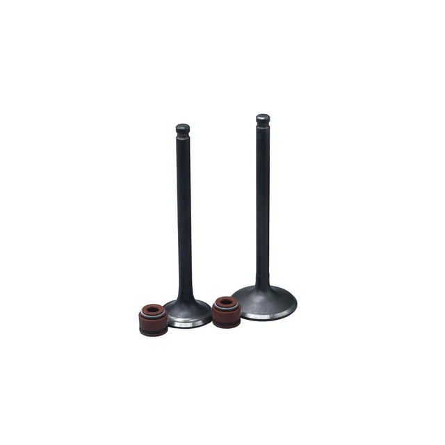 KIT VALVULAS ADM Y ESC CRYPTON115FI/ YC-Z110 CON SELLOS - Imagen 1