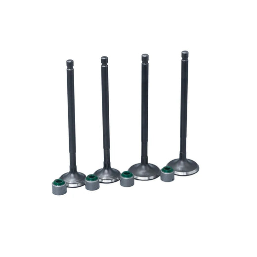 KIT VALVULAS ADM Y ESC TVS RTR200 CON SELLOS - Imagen 1