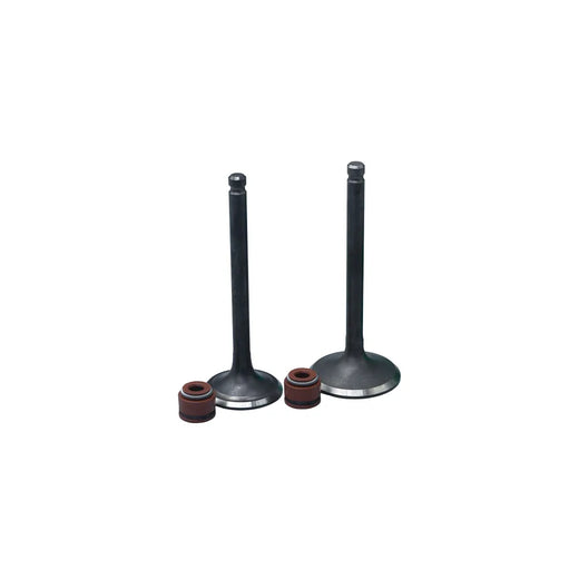 KIT VALVULAS ADM Y ESC AK125 FLEX CON SELLOS - Imagen 1