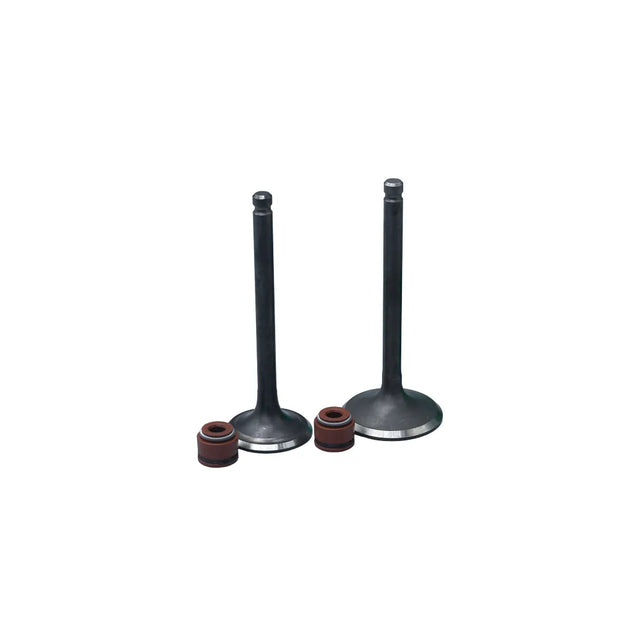 KIT VALVULAS ADM Y ESC AK125 FLEX CON SELLOS - Imagen 1