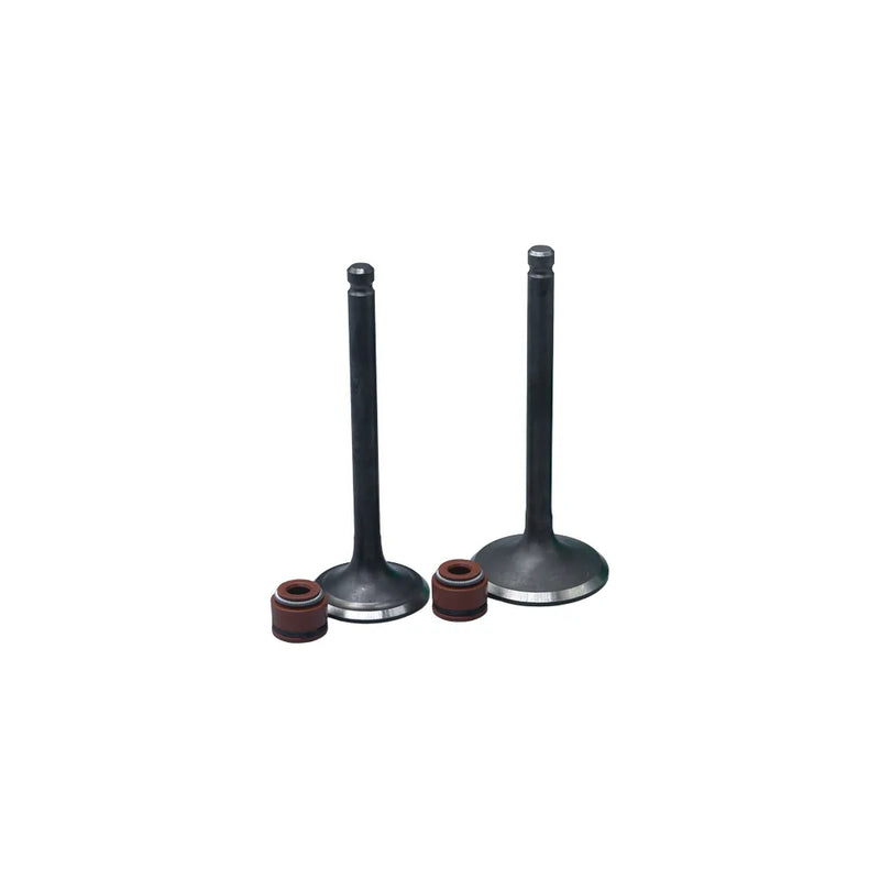 KIT VALVULAS ADM Y ESC AK125 FLEX CON SELLOS - Imagen 1