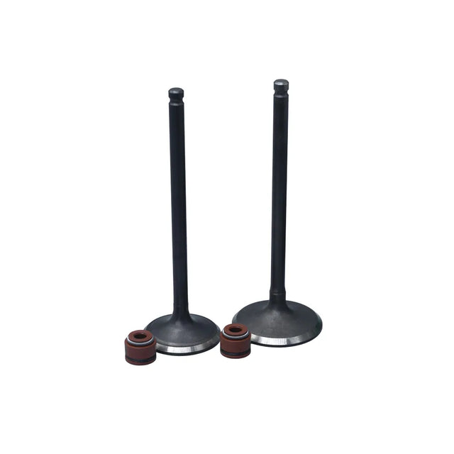 KIT VALVULAS ADM Y ESC AK180 TTR/ CR5 CON SELLOS - Imagen 1