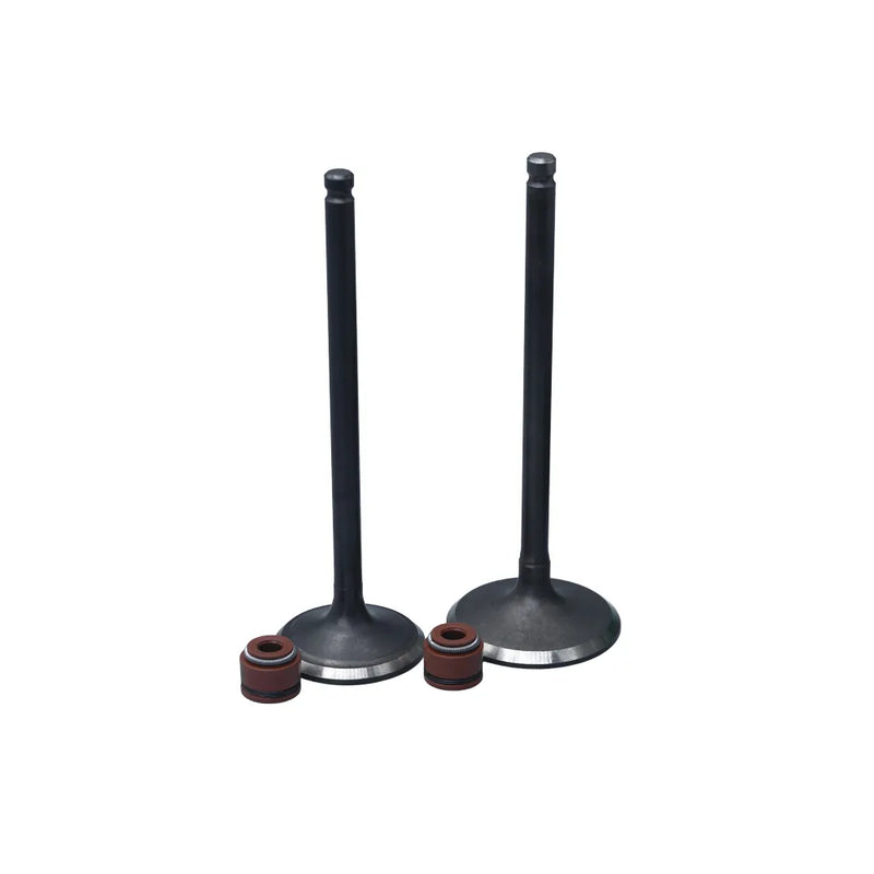 KIT VALVULAS ADM Y ESC AK180 TTR/ CR5 CON SELLOS - Imagen 1