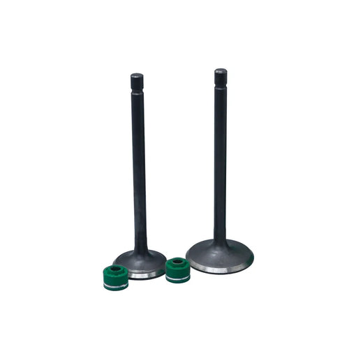 KIT VALVULAS ADM Y ESC AK180 XM CON SELLOS - Imagen 1