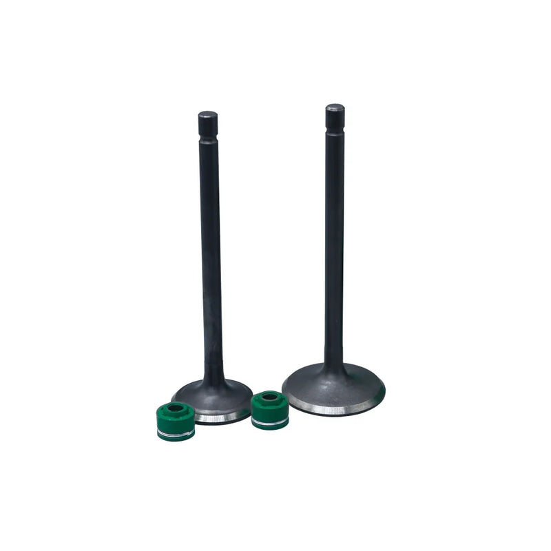 KIT VALVULAS ADM Y ESC AK180 XM CON SELLOS - Imagen 1