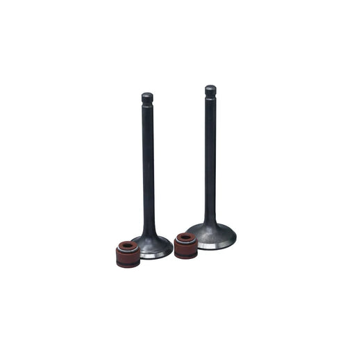 KIT VALVULAS ADM Y ESC WAVE125/ BIZ125 CON SELLOS - Imagen 1