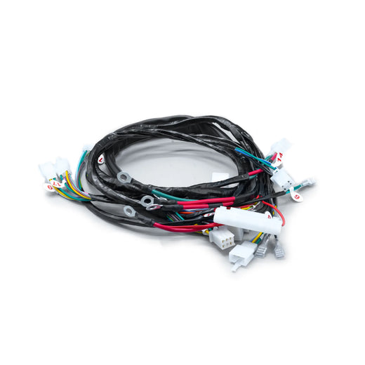 RAMAL ELECTRICO AKT 110 SPECIAL REGULADOR ADELANTE 2009 - Imagen 1