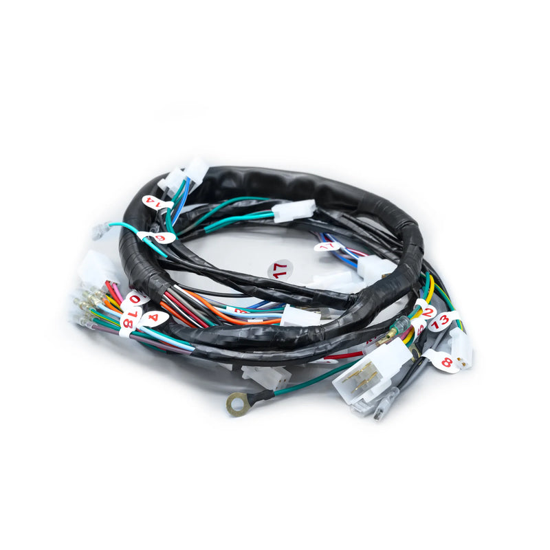 RAMAL ELECTRICO AKT 125 SPORT 1995-1996 - Imagen 1