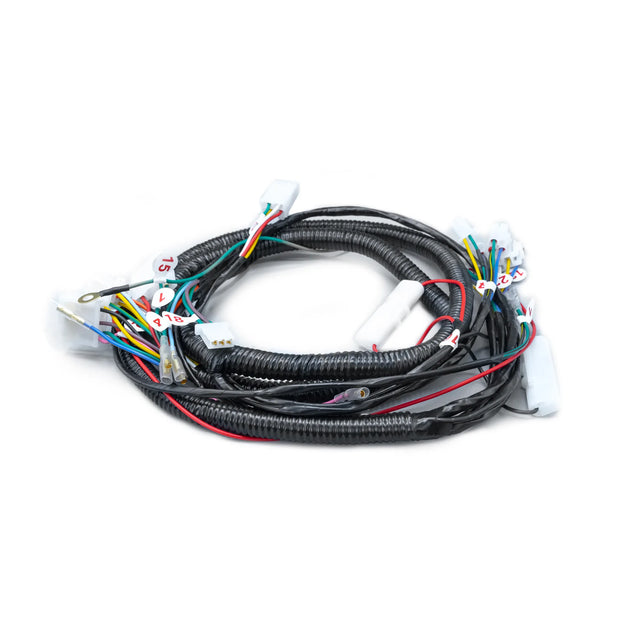RAMAL ELECTRICO AGUILITY 125 MV 2008 - Imagen 1