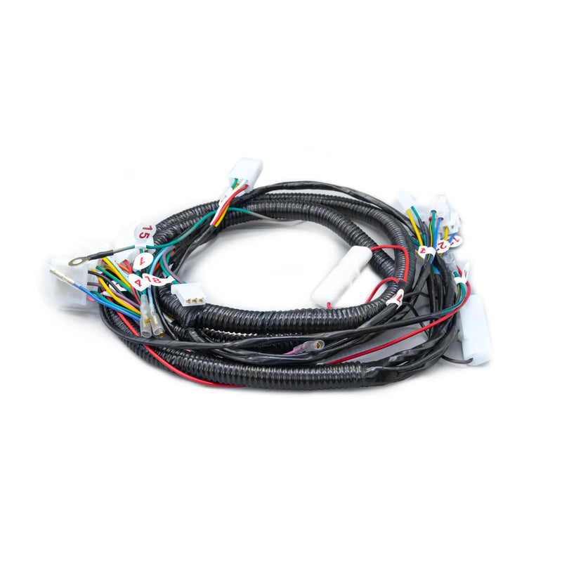 RAMAL ELECTRICO AGUILITY 125 MV 2008 - Imagen 1