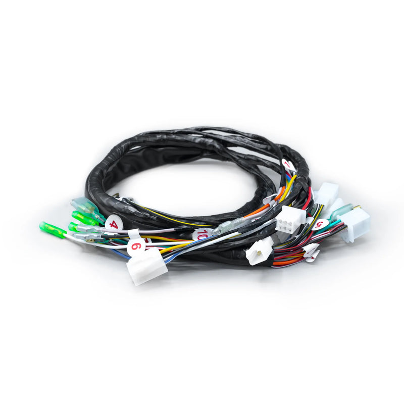RAMAL ELECTRICO BOXER 100 MV 1999-2002 - Imagen 1