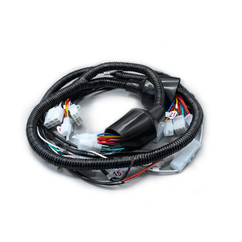 RAMAL ELECTRICO DISCOVER 100 SPORT - Imagen 1