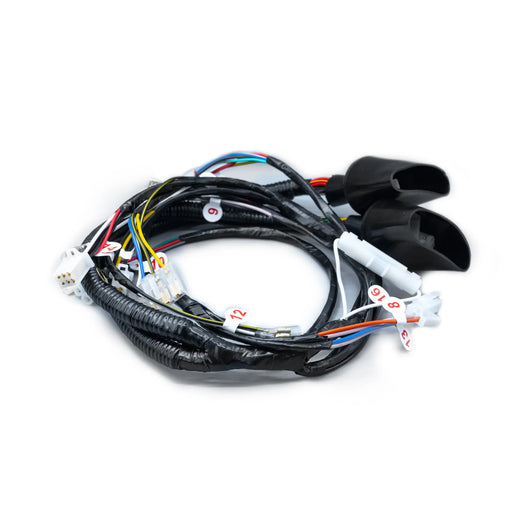 RAMAL ELECTRICO DISCOVER 125 CON CRAN 2008-2014 - Imagen 1
