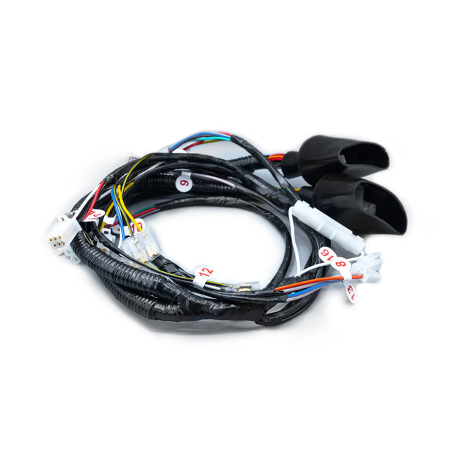 RAMAL ELECTRICO DISCOVER 125 CON CRAN 2008-2014 - Imagen 1