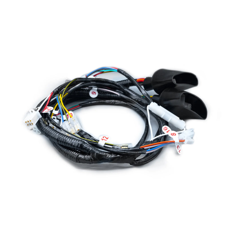 RAMAL ELECTRICO DISCOVER 125 CON CRAN 2008-2014 - Imagen 1