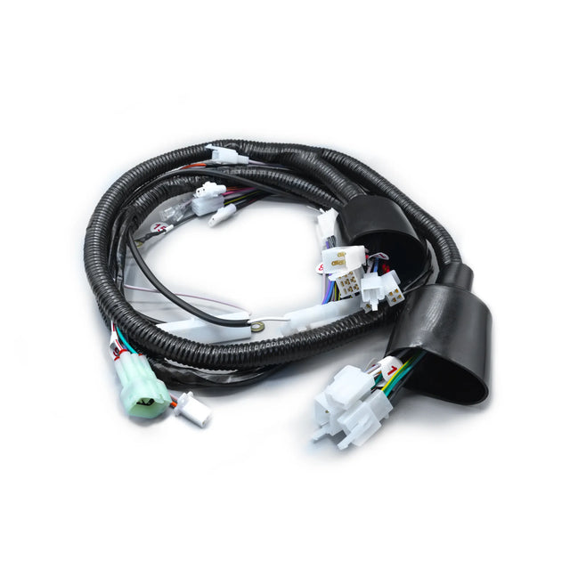 RAMAL ELECTRICO DISCOVER 100 + 2014-2017 - Imagen 1