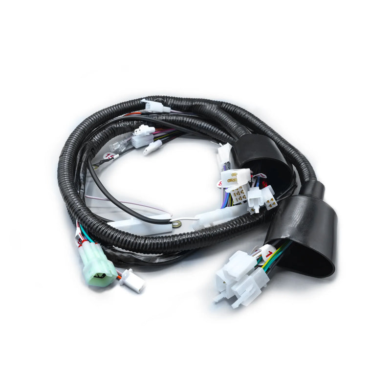 RAMAL ELECTRICO DISCOVER 100 + 2014-2017 - Imagen 1