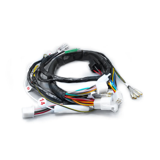 RAMAL ELECTRICO BOXER CT 2020 CON LUZ DIRECTA - Imagen 1