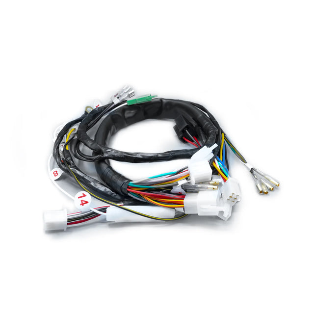 RAMAL ELECTRICO BOXER CT 2020 CON LUZ DIRECTA - Imagen 1