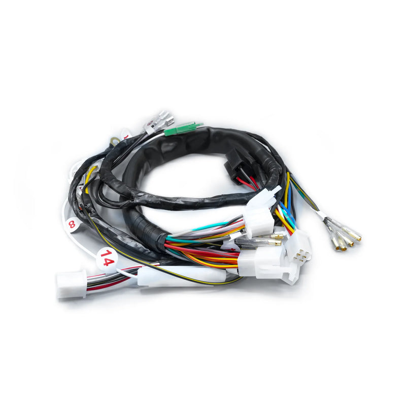 RAMAL ELECTRICO BOXER CT 2020 CON LUZ DIRECTA - Imagen 1