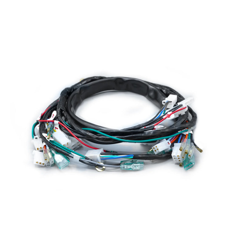 RAMAL ELECTRICO ECO 100 + 2007 - Imagen 1