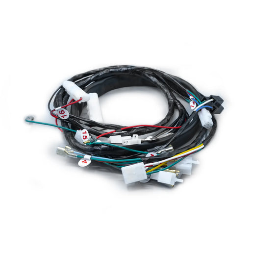 RAMAL ELECTRICO ECO DELUXE CRAN 2007-2015 - Imagen 1