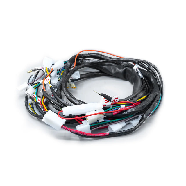 RAMAL ELECTRICO BWS 100 2T MV 2005-2009 - Imagen 1