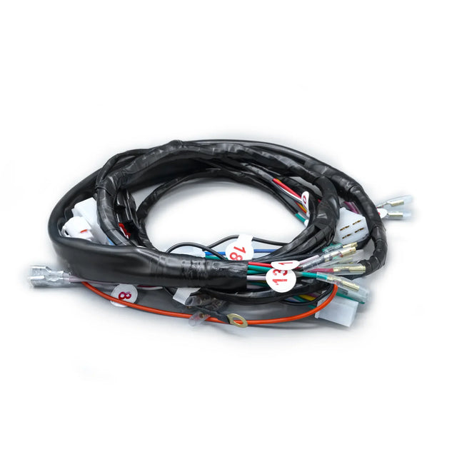 RAMAL ELECTRICO LIBERO 110 - Imagen 1