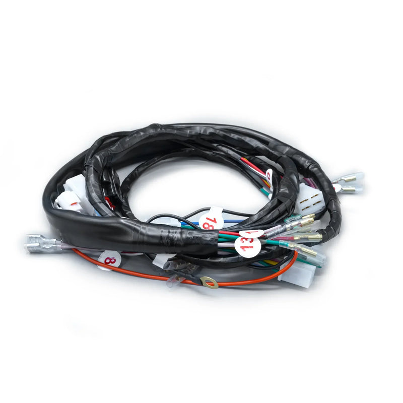 RAMAL ELECTRICO LIBERO 110 - Imagen 1