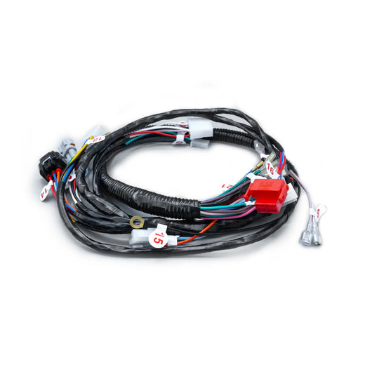 RAMAL ELECTRICO LIBERO 125 MN 2010-2014 - Imagen 1