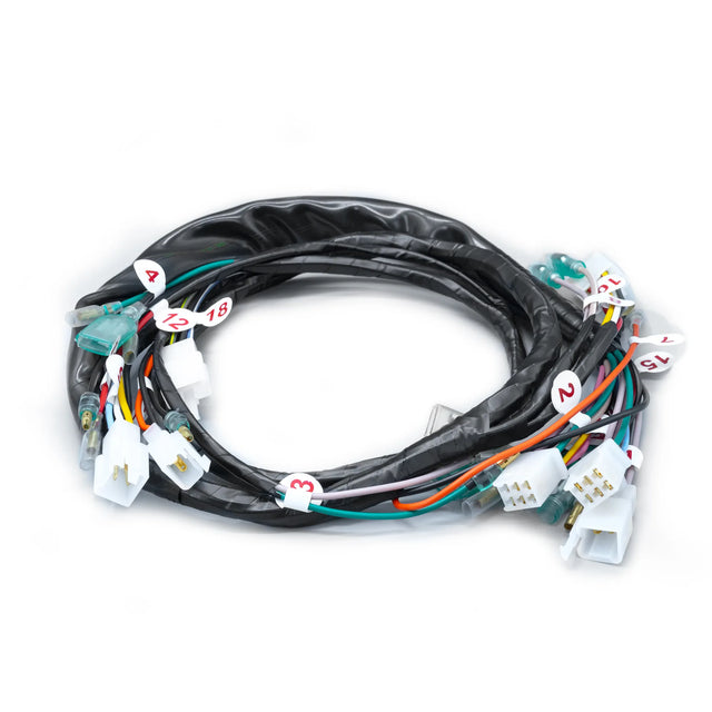 RAMAL ELECTRICO RX 100 CLÁSICA O MN 2005-2006 - Imagen 1