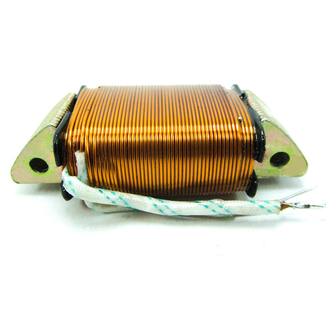 BOB.LUZ Y CARGA RX115/125/135/V80  12 VOLT - Imagen 1