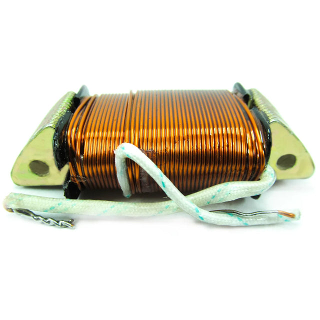 BOB.LUZ Y CARGA V 80 6V - Imagen 1