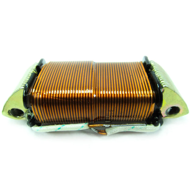 BOB.LUZ Y CARGA AX 100/TS 100-125/ERZ 6VOLT - Imagen 1