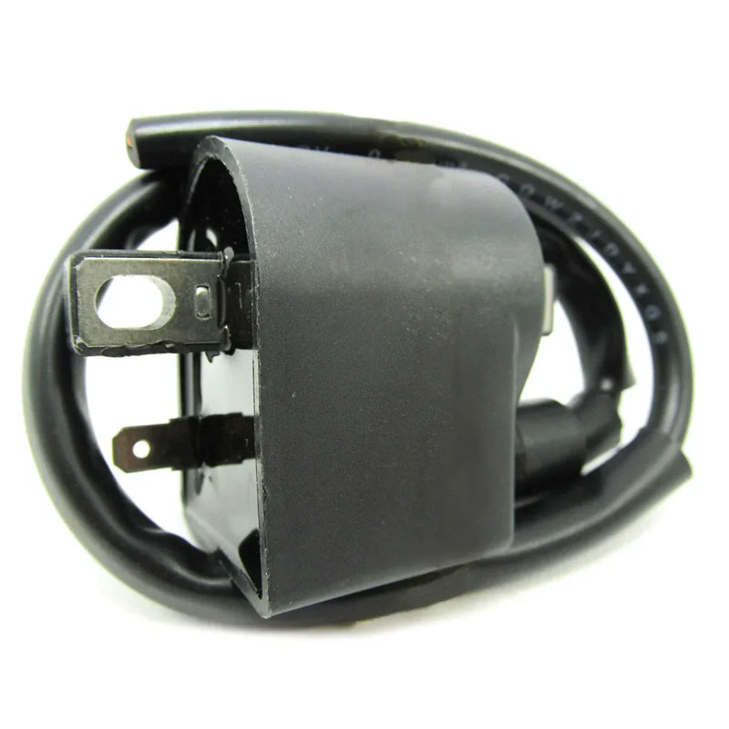 P.E.I   FZ-50/FR-80/AK-100 2T - Imagen 1