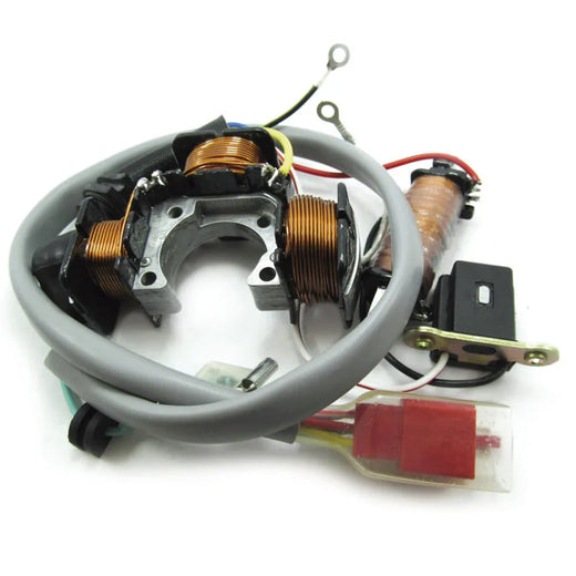 ESTATOR AUTECO BOXER - 100 CON RAMAL - Imagen 1